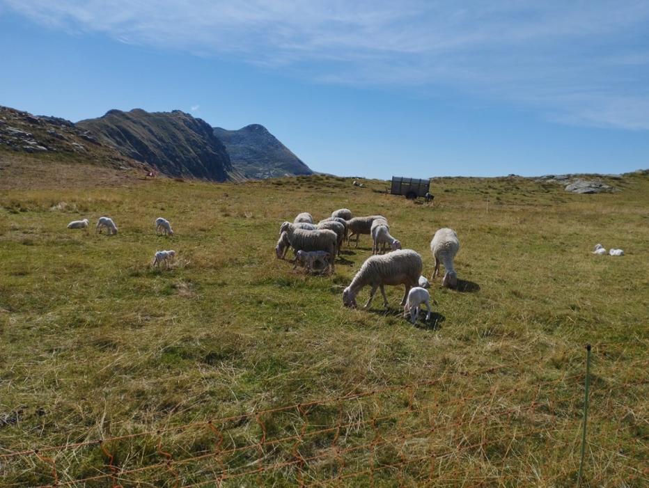 Il Giro Dei Tre Laghi Tra La Valle Del Caffaro La Valgrigna E Il Passo