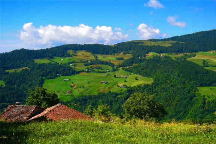 Festa in Malga