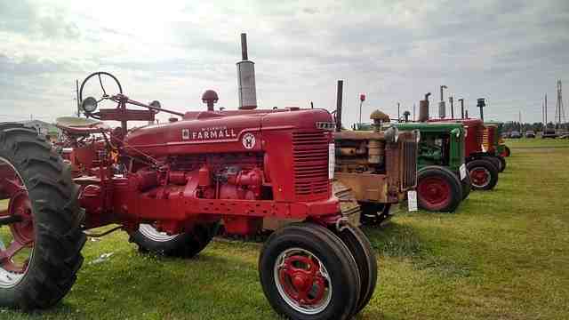 Fiera Agricola di Calvisano - Mostre in fiera