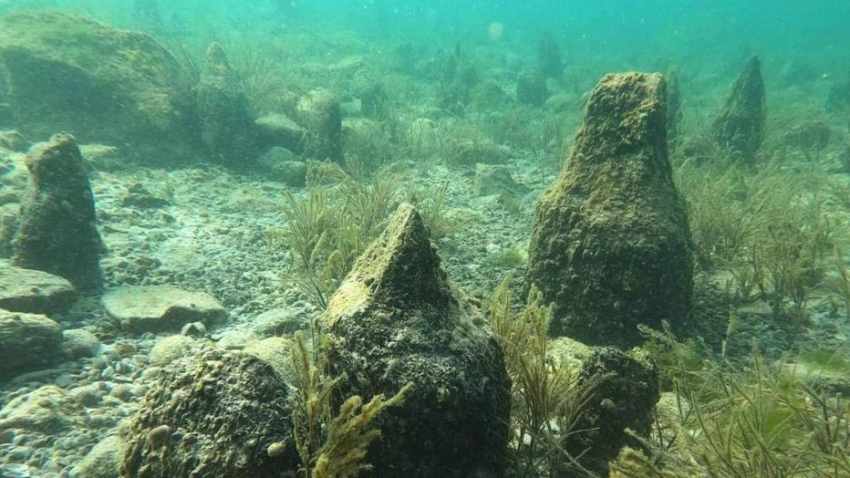Sito palafitticolo di Lugana Vecchia Bene archeologico