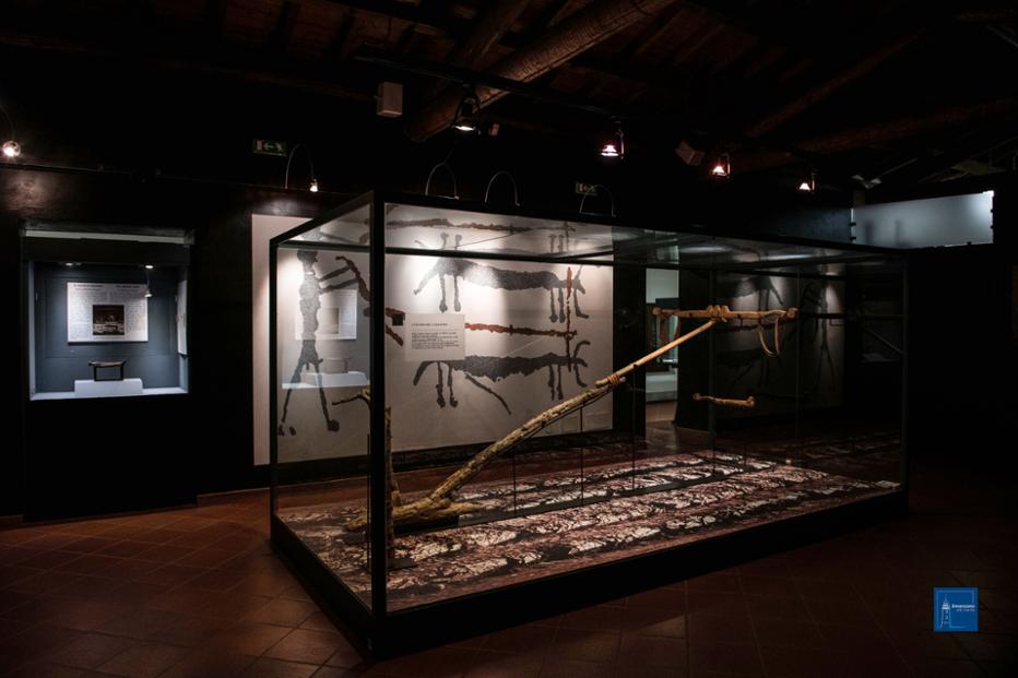 Museo Archeologico G.Rambotti Museo / Pinacoteca