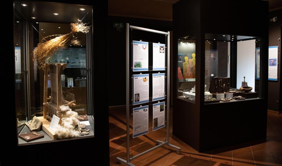 Museo Archeologico G.Rambotti Museo / Pinacoteca