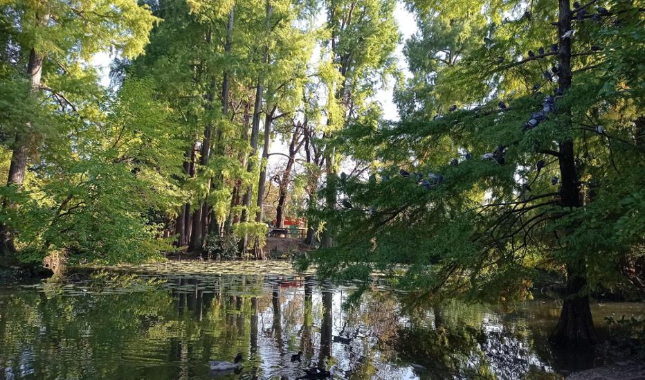Parco Ducos